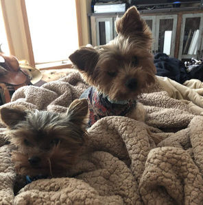 Meet your Posher, Kailey